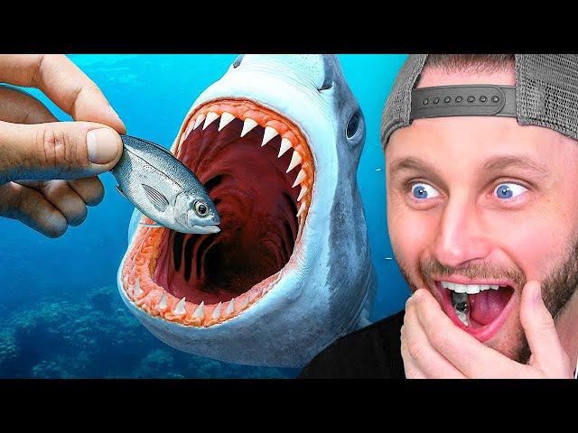 Craziest Moments In Nature