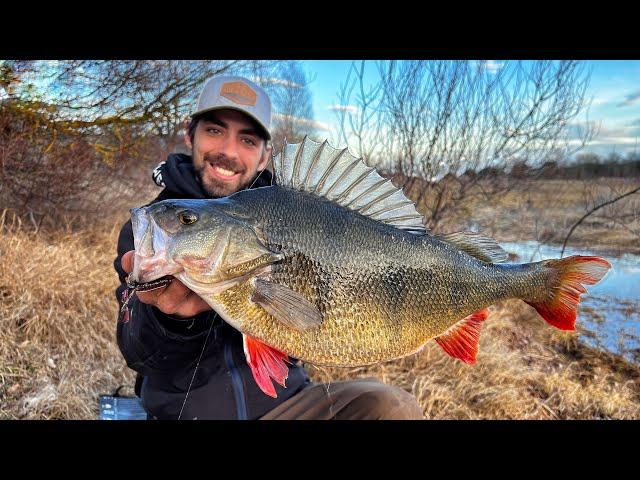 FISHING BIG PERCH !!! pesca al grosso persico reale