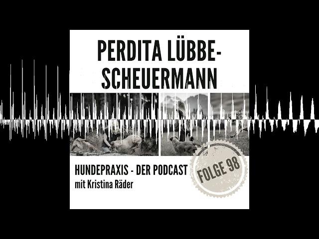 Im Stress liegt die Wahrheit - Hundepraxis - der Podcast