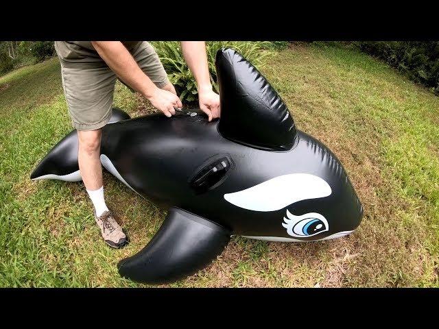 Intex Whale with a Zipper