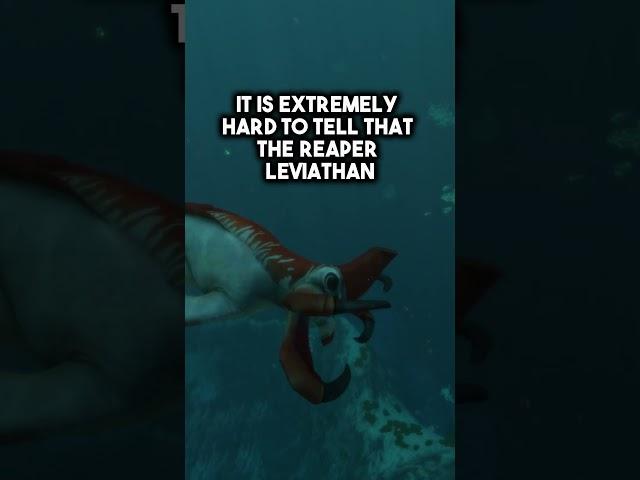 The Reaper Leviathan Is WAY Bigger Than You Think