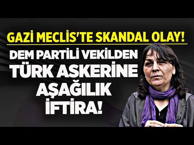 DEM PARTİLİ VEKİLDEN TÜRK ASKERİNE AŞAĞILIK İFTİRA! GAZİ MECLİS'TE SKANDAL OLAY!