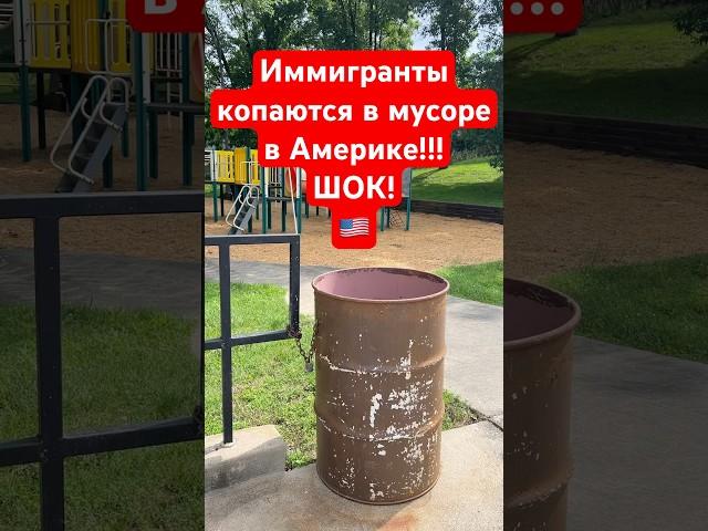 Иммигранты из СНГ нищенствуют в США