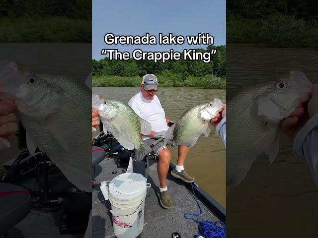 #littleriddle #crappiefishing #grenadalake #fishing