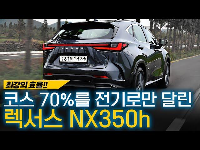 확 바뀐 신형 렉서스 NX350h, 이 정도면 적수 있나