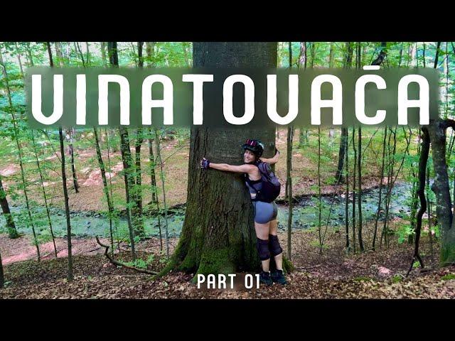 We finally went searching for an ancient forest | EMTB ride | Vinatovaca