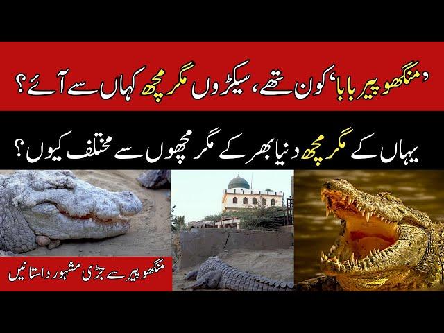 History of Manghopir Baba and Crocodiles at his shrine