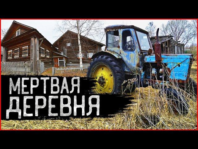 Заброшенные Деревни: кладбище автомобилей стоит в глуши 30 лет! КАК живет российская глубинка?
