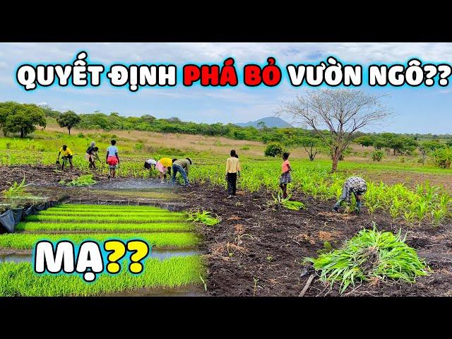 Thế Nhân || Nông Trại Số 2 Bản Kapingala Nhận Được Sự Hỗ Trợ Đặc Biệt Từ Đông Paulo .