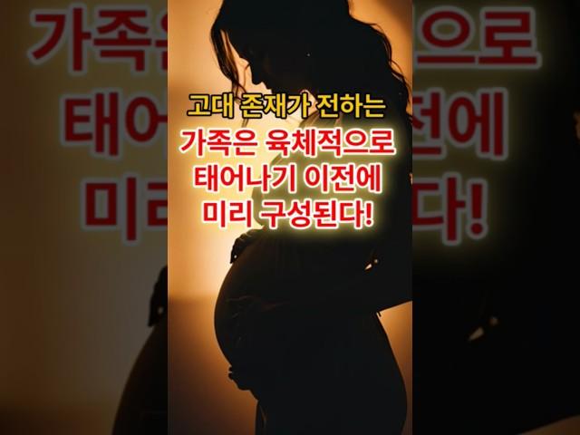 충격! 가족은 태어나기 이전에 미리 구성된다! #환생 #윤회 #깨달음