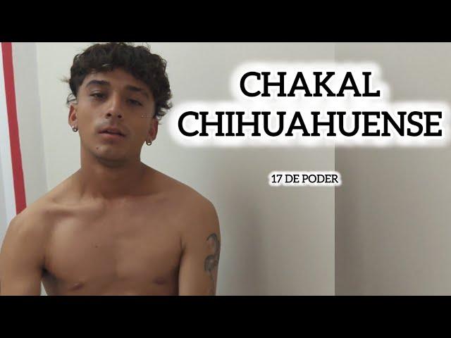 CHAKAL CHIHUAHUENSE / #wequer