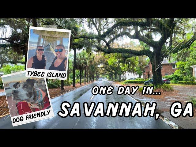 ONE DAY IN SAVANNAH, GA | TYBEE ISLAND & WALKING RIVER STREET WITH DOG | RIVER HOUSE FOOD REVIEW