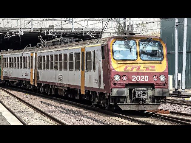 Train at Luxembourg Station (4K)