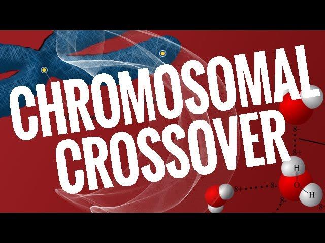 A3Academy: Chromosomal Crossover