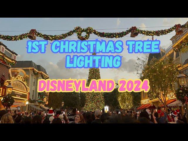 First Christmas holiday tree, lighting Disneyland, 2024 ￼