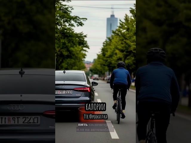 Калории #всемирнаяистория #история