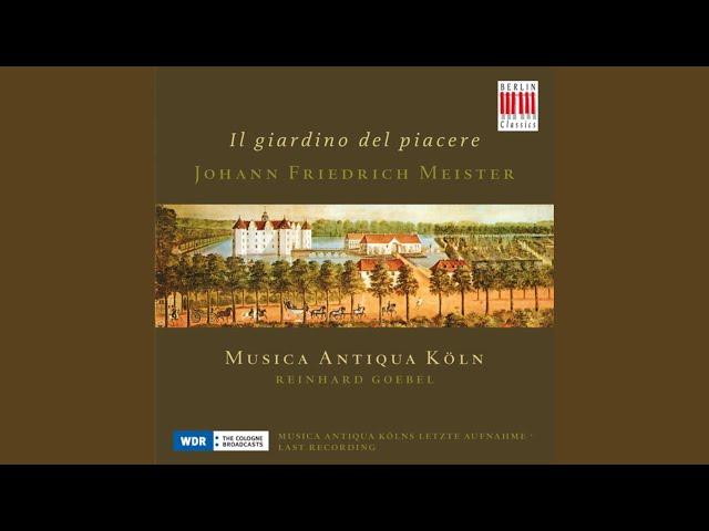 Sonata No. 11 in D Major: I. Allegro