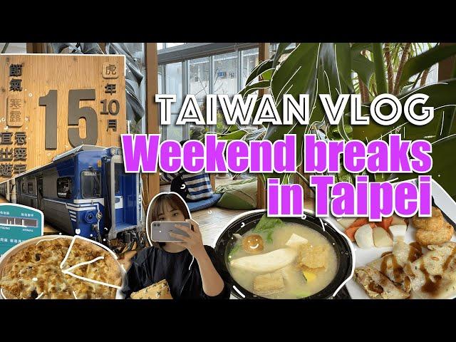 Taiwan Vlog  Travel like a local in Taipei, Taoyuan | Weekend Vlog