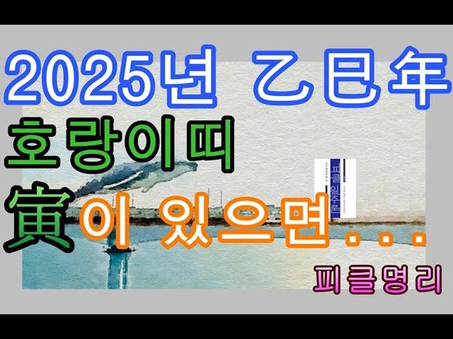 2025년 을사년 운세  호랑이띠 & 寅 - 피클의 행복한 명리