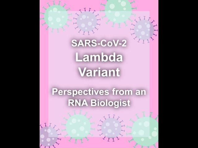 SARS-CoV-2 Lambda Variant Explained