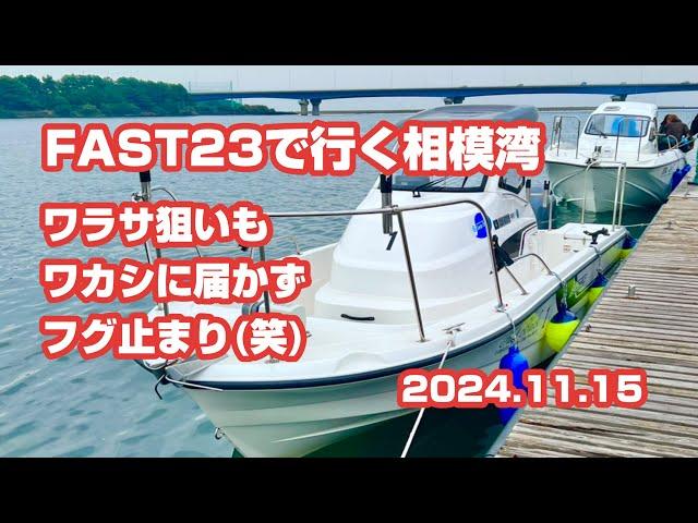 FAST23で行く相模湾ワラサ狙いもワカシに届かずフグ止まり(笑) 2024.11.15 ヤマハシースタイル