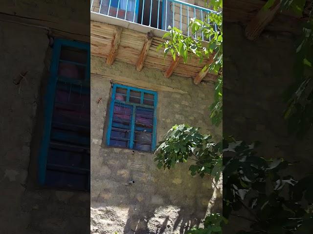 Walking Through the Kurdish Soul of Hawraman #hawraman #iran #irannature #kurdistan
