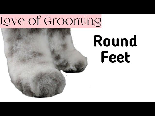 How to trim round paws on a large curly coated dog