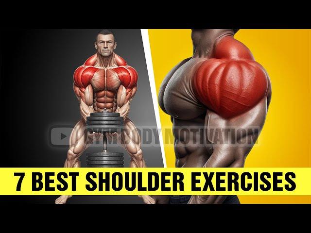 7 Best Shoulder Exercises for Boulder Shoulders