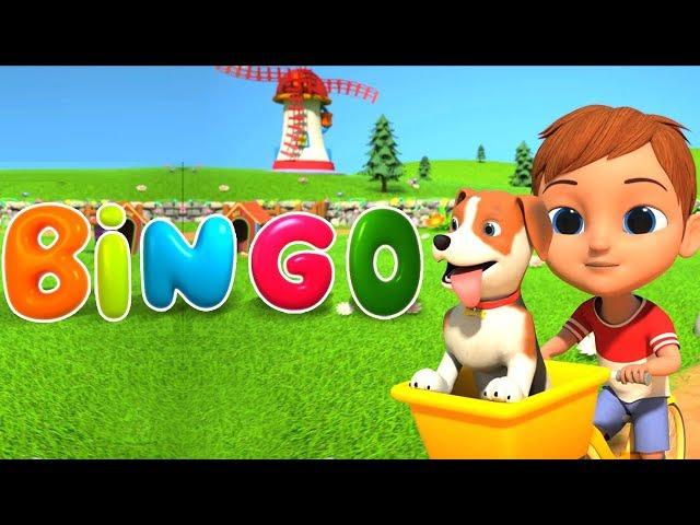 bingo a canção | crianças canções | Bingo The Song | Little Treehouse Português | Canções dos miúdos