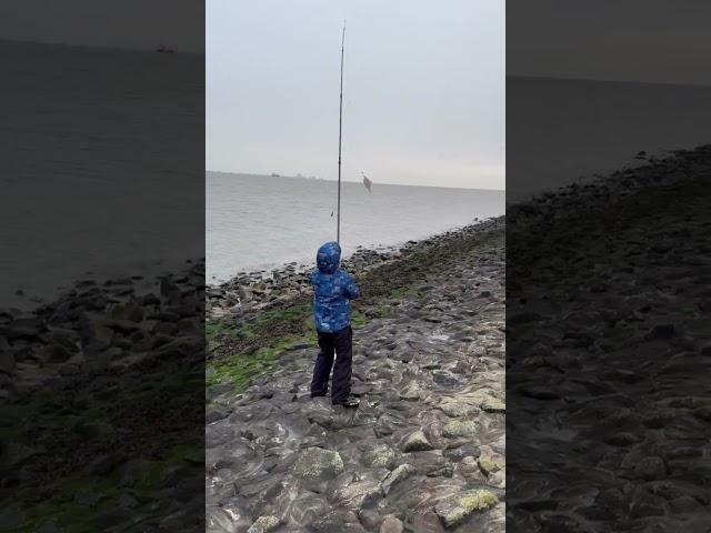 Морская рыбалка в северном море.  Fishing. Angeln am Nordsee. #angeln #рыбалка #fishing #fish #рыбак