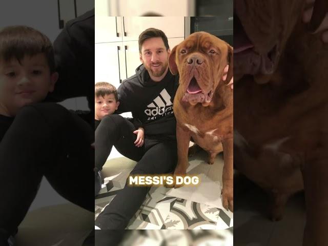 The real dog of messi . #messi #leo #cr7shorts #shorts