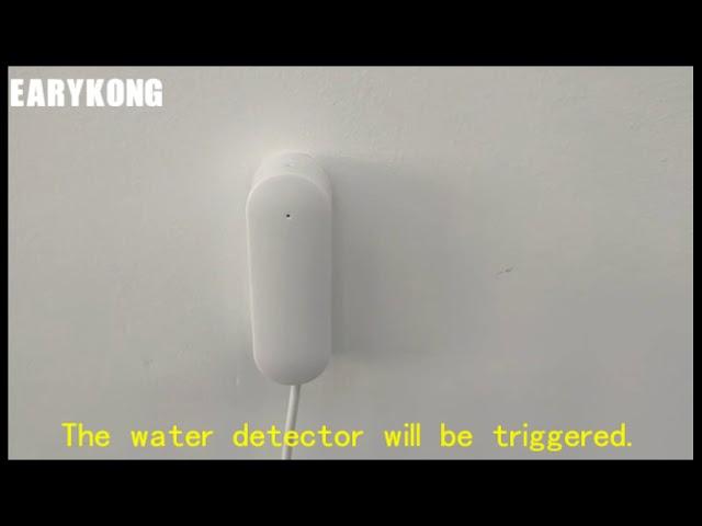 (Earykong) Tuya wifi water detector and the electric valve together protect your home garden.