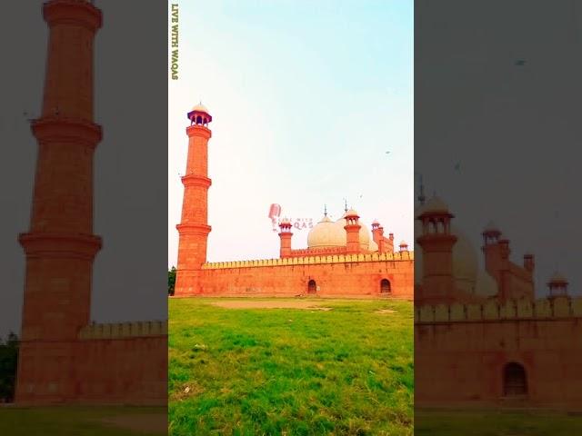 Few seconds from today's morning walk|Badshahi Masjid Lahore|Live With Waqas