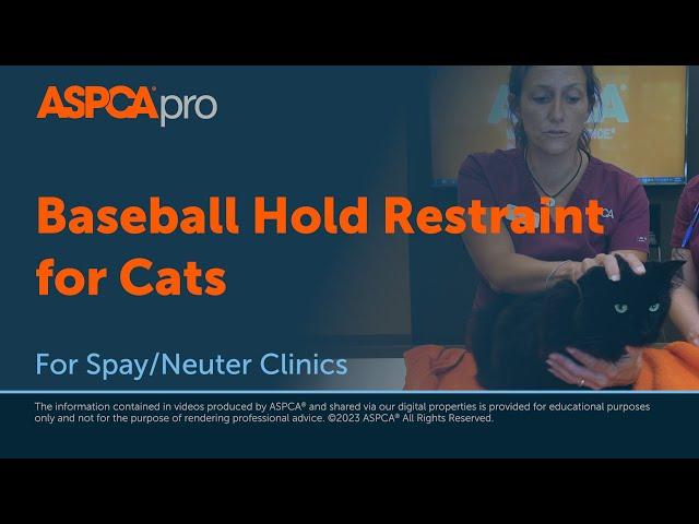 Spay/Neuter Gentle Animal Handling: Baseball Hold Restraint for Cats