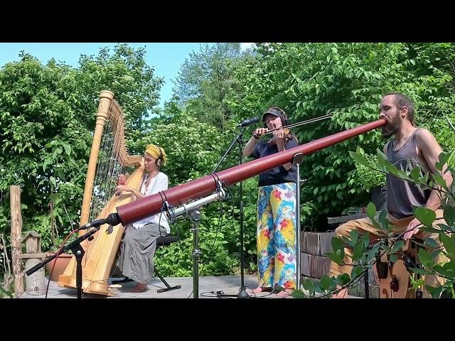 Garden Techno Jam: Didgeridoo, Harp & Violin