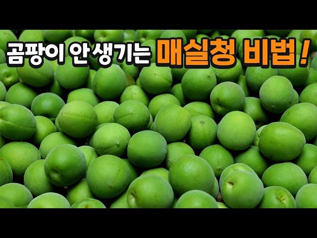매실청 담그는 기발한 비법 공개합니다
