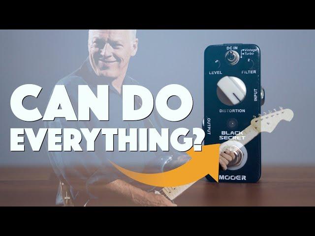 Mooer Black Secret - David Gilmour Tones | Gilmour Tone On A Budget