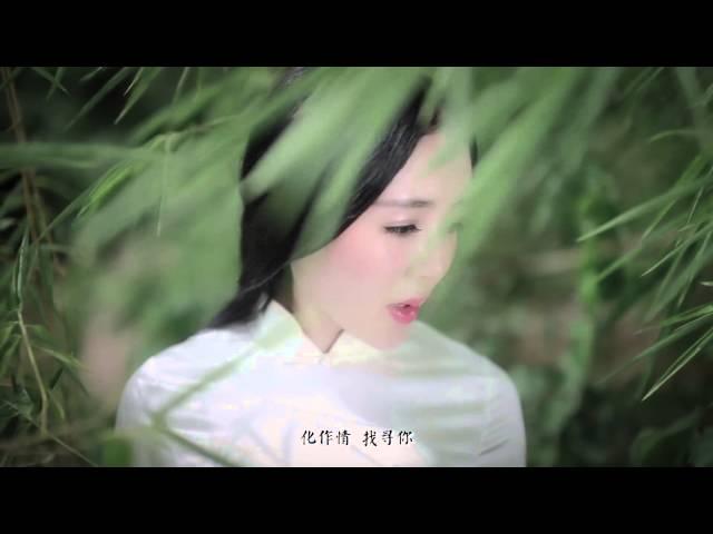 【HD】魏新雨-戀人心MV [Official Music Video]官方完整版（電視劇《花千骨》火熱討論曲）