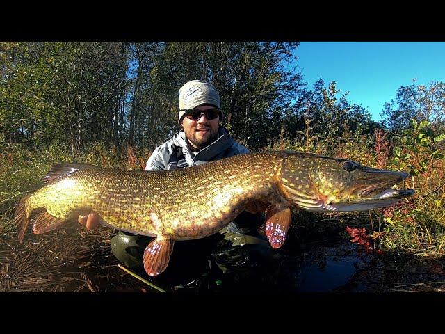 MY RECORD BREAKING MONSTER PIKE - AUTUMN PIKE FISHING IN FINLAND - ENGLISH SUBTITLES