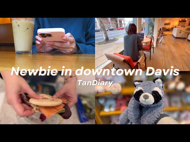 UC Davis vlog: exploring downtown, temple coffee, asian  marts, manna restaurant 丨US vlog