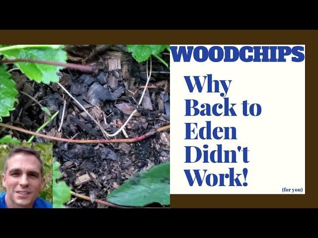 Back to Eden Woodchips didn't work?