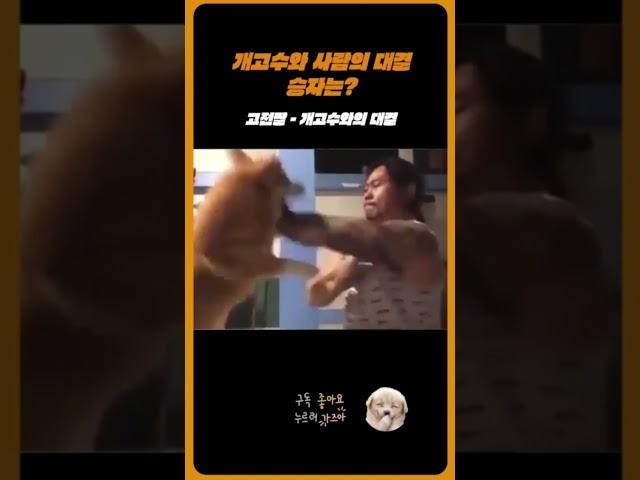 고전짤 - 개고수와 사람의 대결 승자는??