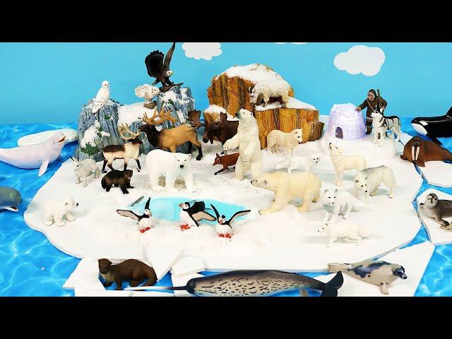 Arctic Tundra Diorama and Animal Figurines - Learn Animal Names