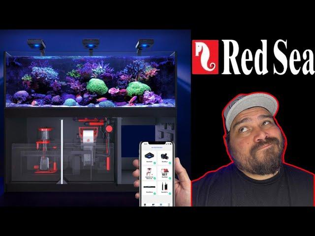 All Red Sea Aquarium 2 year Review