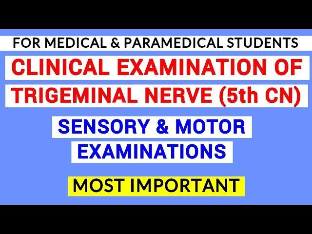 TRIGEMINAL NERVE EXAMINATION | CLINICAL LAB | PHYSIOLOGY