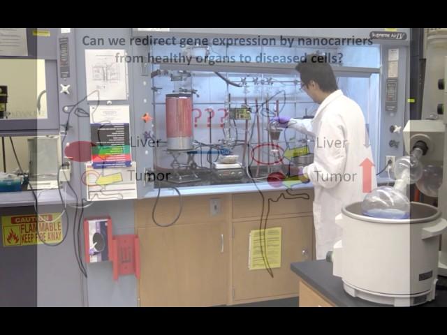 Spatial Control of Gene Expression by Nanocarriers