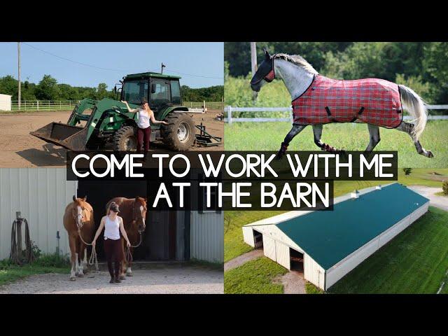 My Morning Barn Routine // barn chores vlog