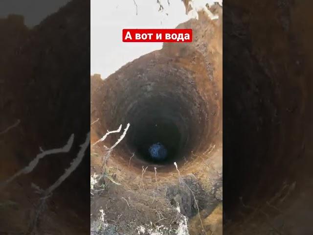А вот и вода в колодце с Завидово 