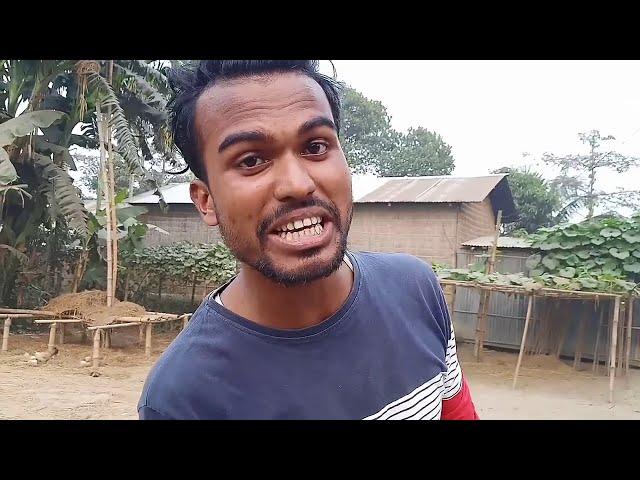 Bidashi Pula | Bangla Short Movie | Alam Musafir | Amir Hamja | Mousomi Sultana | Comedy Video