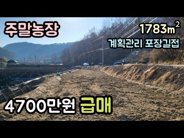 (매물번호14258) 4700만원 금산부동산 1783㎡(539) 금산땅 금산토지매매매물 시골땅 촌땅 소액땅 급매 전원주택지 주말농장 집터 대전토지 대전부동산 청주땅 옥천땅 보은땅